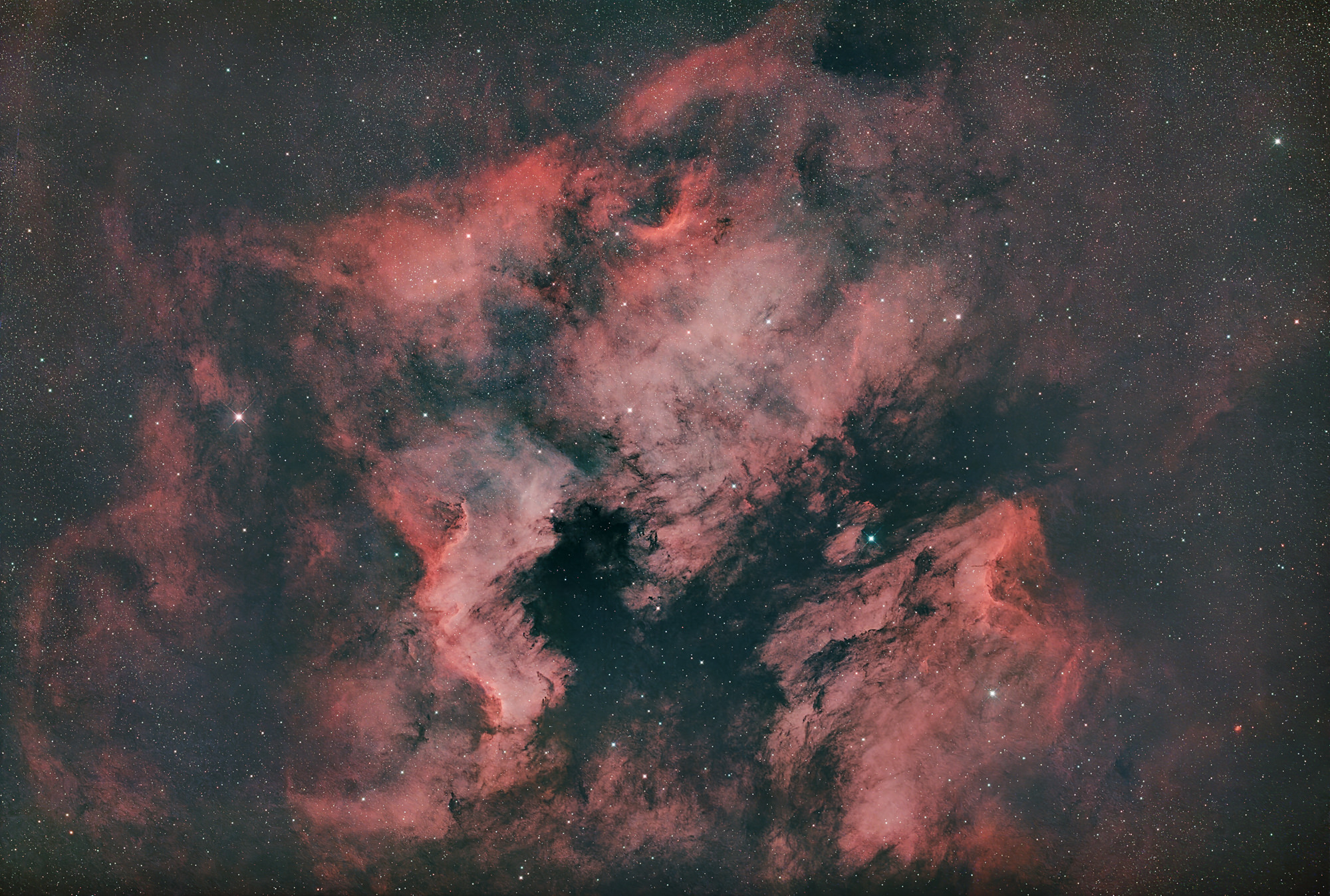The North America Nebula NGC 7000 and the Pelican Nebula IC 5070 are emission nebulae in the constellation Cygnus near Deneb (the Swan's Tail and its brightest star). The shape of the nebula resembles that of the North American continent, complete with a prominent Gulf of Mexico. At the top right of the picture you can see the head of a pelican.